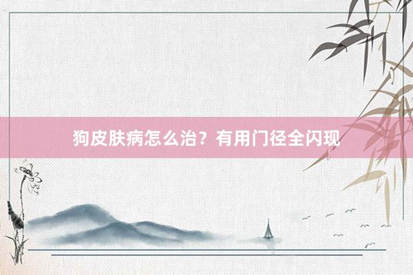 狗皮肤病怎么治？有用门径全闪现